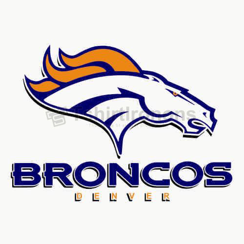 Denver Broncos T-shirts Iron On Transfers N509 - Click Image to Close